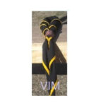 VIM